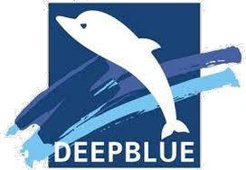 Deepblue Medical Logo