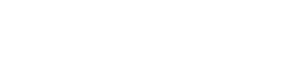 Fit-Flip Logo