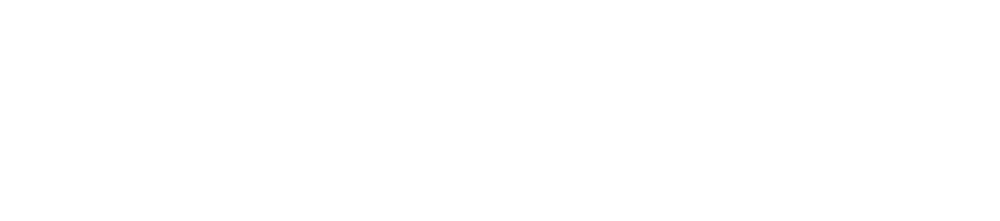 LIVSANE Logo